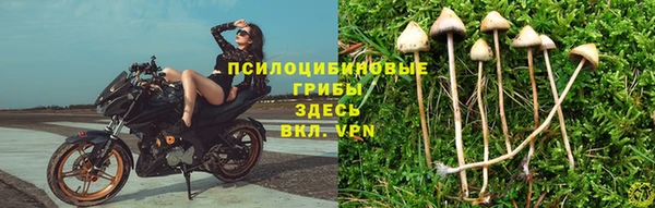 прущие крисы Алексеевка