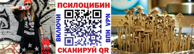 Галлюциногенные грибы Psilocybe  дарнет шоп  Батайск 